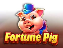 imo tv net